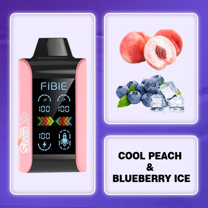 Fibie 15000 Puff Dual Flavors Vape