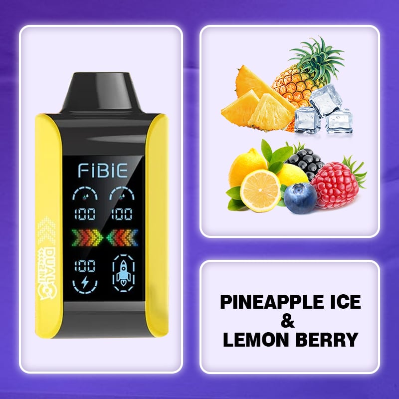 Fibie 15000 Puff Dual Flavors Vape