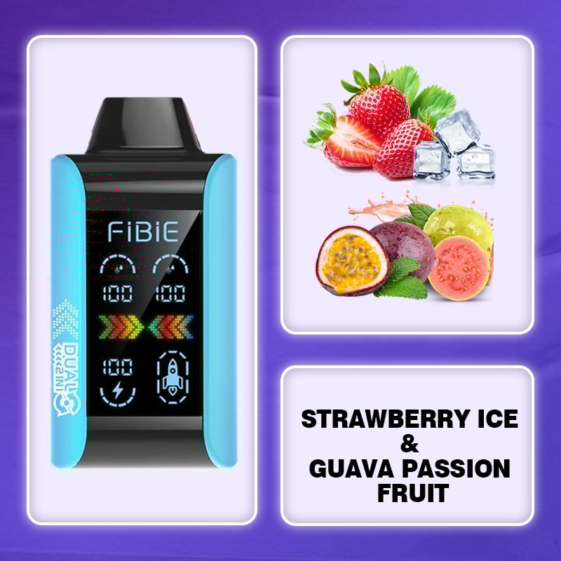 Fibie 15000 Puff Dual Flavors Vape