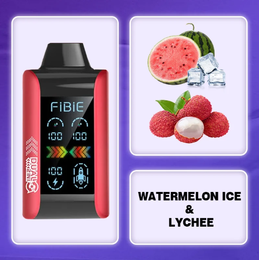 Fibie 15000 Puff Dual Flavors Vape