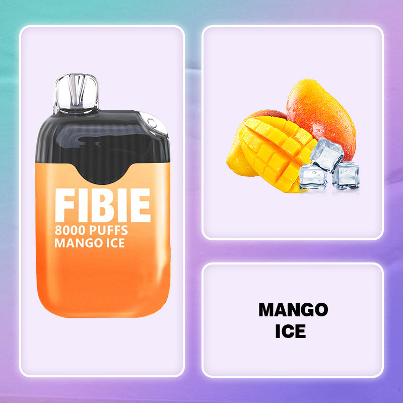 Fibie 8000 Puff Vape