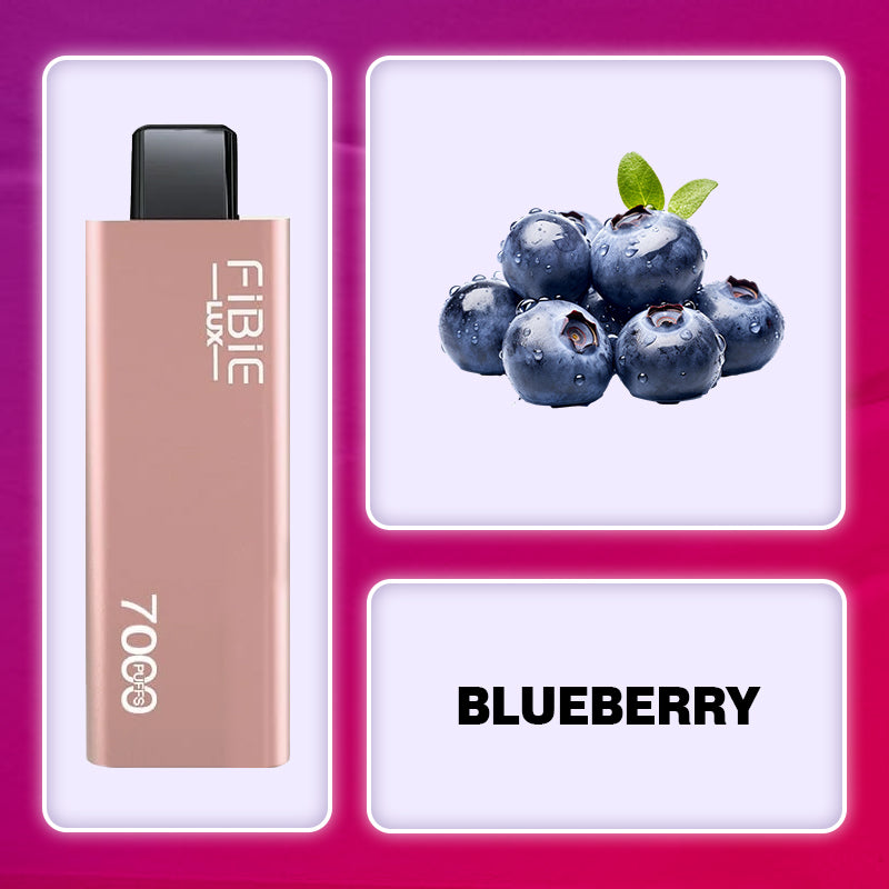 Fibie 7000 Puff Vape