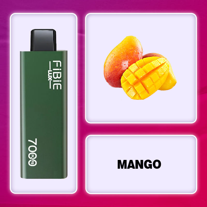 Fibie 7000 Puff Vape