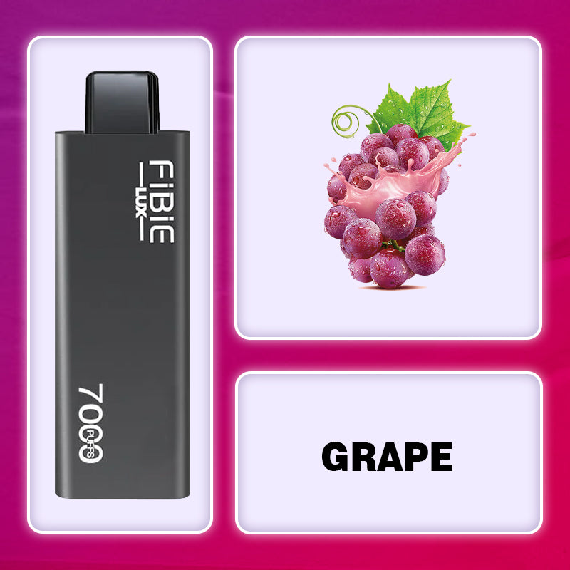 Fibie 7000 Puff Vape