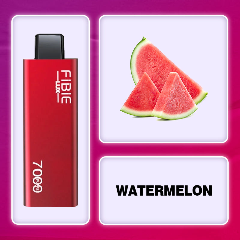 Fibie 7000 Puff Vape